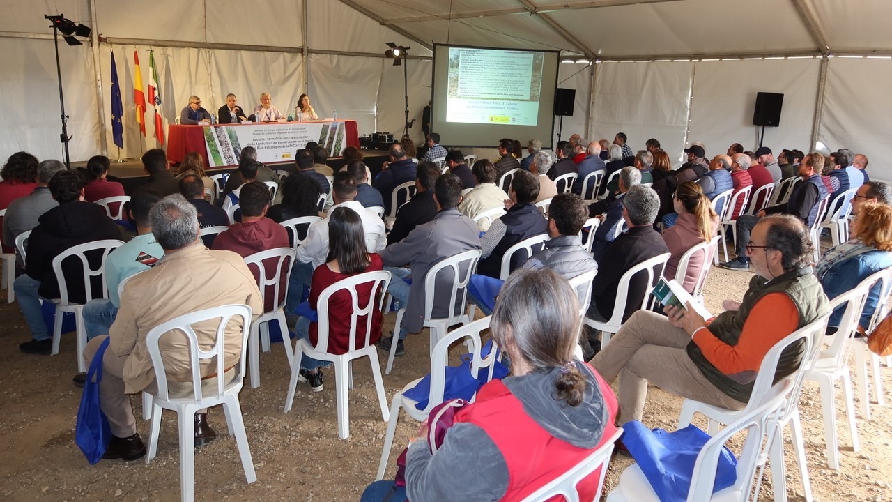 jornada olivar cubiertas suelo erosión|jornada olivar cubiertas suelo erosión|jornada olivar cubiertas suelo erosión|jornada olivar cubiertas suelo erosión